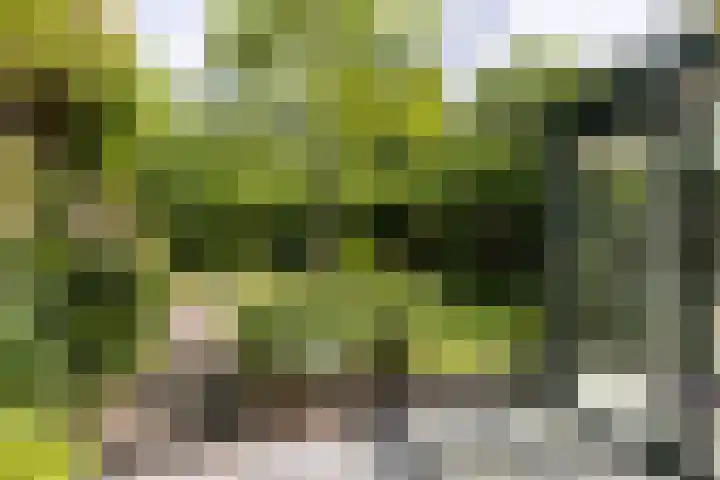 Jan Gossaertlaan 28 Bilthoven thumbnail 40