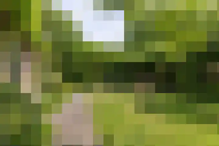 Jan Gossaertlaan 28 Bilthoven thumbnail 41