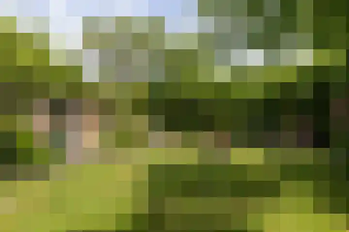 Jan Gossaertlaan 28 Bilthoven thumbnail 42