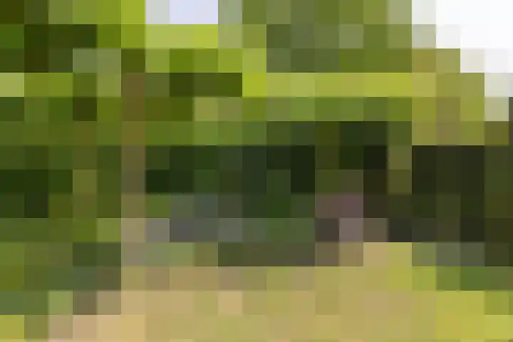 Jan Gossaertlaan 28 Bilthoven thumbnail 43