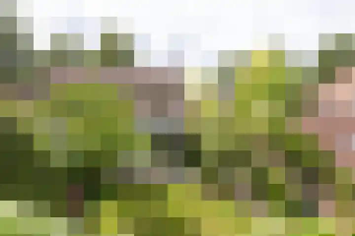 Jan Gossaertlaan 28 Bilthoven thumbnail 45