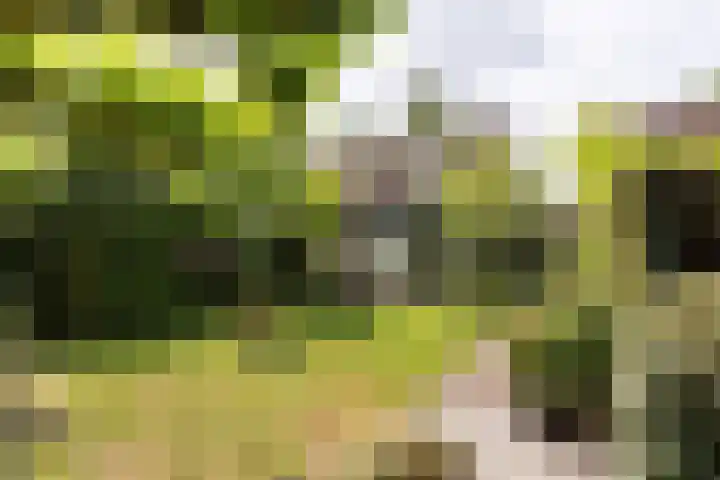 Jan Gossaertlaan 28 Bilthoven thumbnail 46