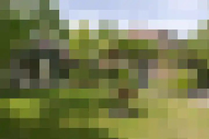 Jan Gossaertlaan 28 Bilthoven thumbnail 47