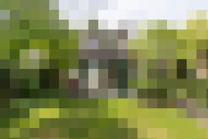 Jan Gossaertlaan 28 Bilthoven thumbnail 49