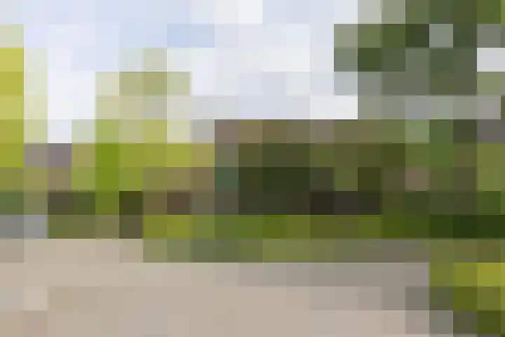 Jan Gossaertlaan 28 Bilthoven thumbnail 50