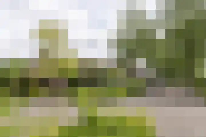 Jan Gossaertlaan 28 Bilthoven thumbnail 51