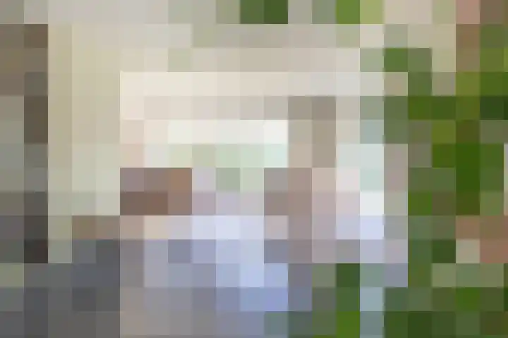 Jan Gossaertlaan 6 Bilthoven thumbnail 17