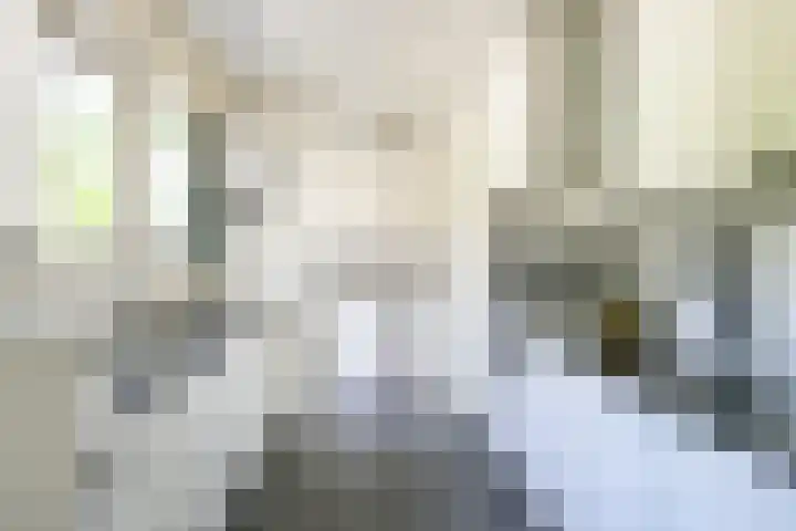Jan Gossaertlaan 6 Bilthoven thumbnail 18