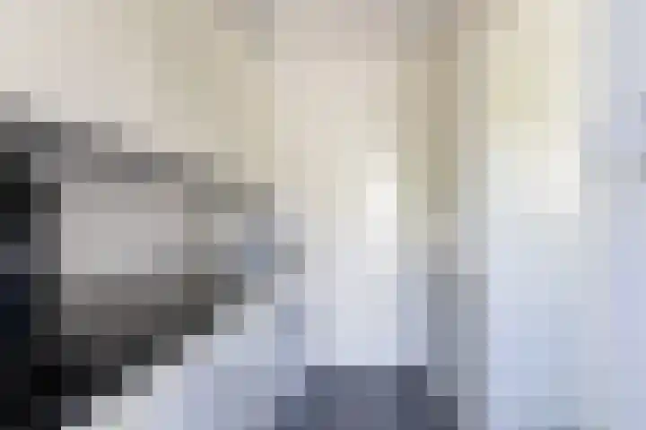 Jan Gossaertlaan 6 Bilthoven thumbnail 20