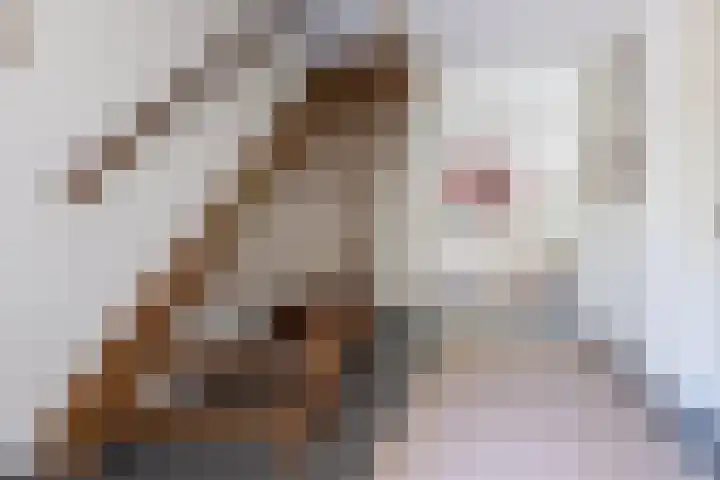 Jan Gossaertlaan 6 Bilthoven thumbnail 4