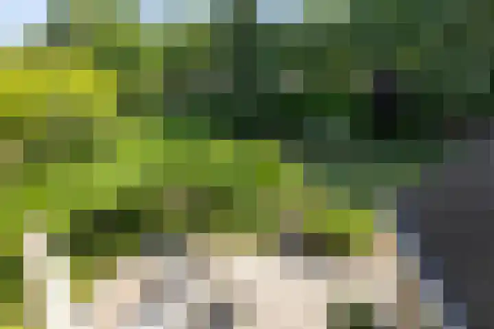 Jan Gossaertlaan 6 Bilthoven thumbnail 40