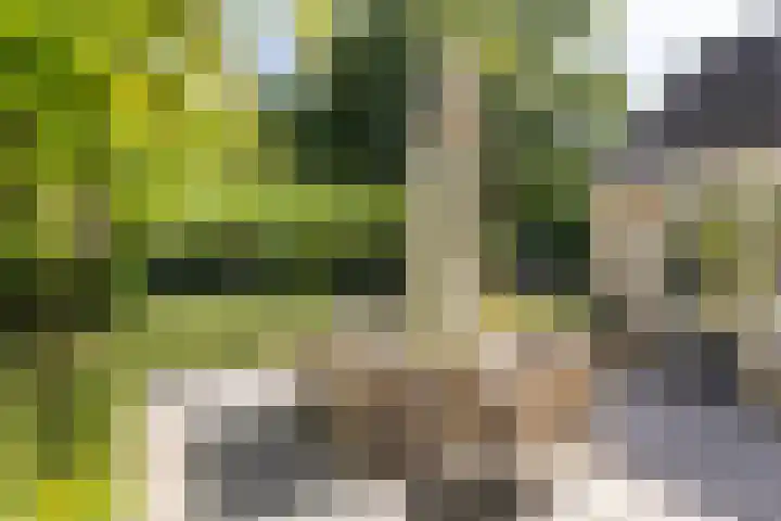 Jan Gossaertlaan 6 Bilthoven thumbnail 41