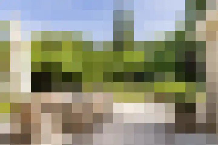 Jan Gossaertlaan 6 Bilthoven thumbnail 42