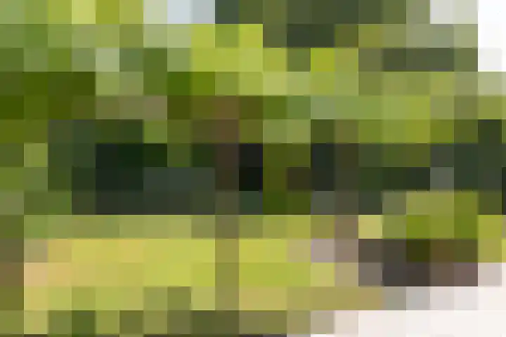 Jan Gossaertlaan 6 Bilthoven thumbnail 43