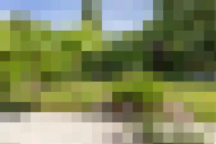 Jan Gossaertlaan 6 Bilthoven thumbnail 44