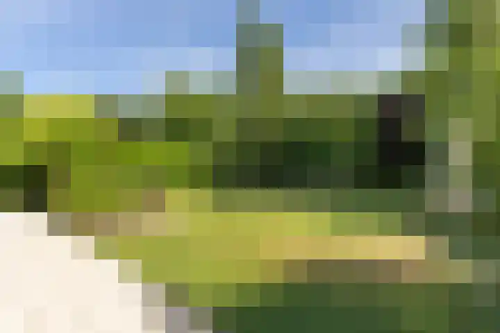 Jan Gossaertlaan 6 Bilthoven thumbnail 45