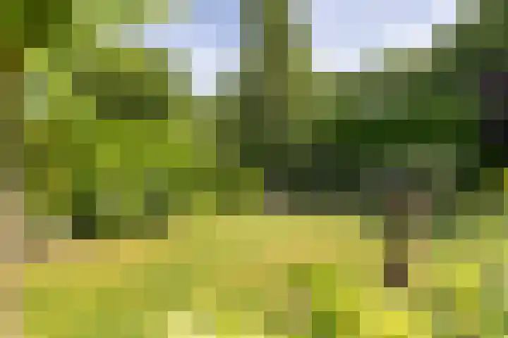 Jan Gossaertlaan 6 Bilthoven thumbnail 46