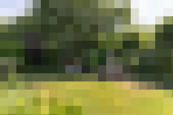 Jan Gossaertlaan 6 Bilthoven thumbnail 47