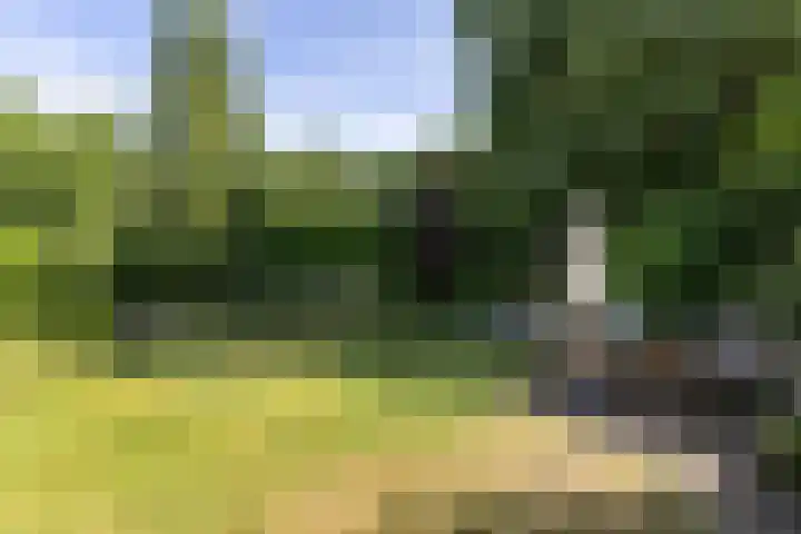 Jan Gossaertlaan 6 Bilthoven thumbnail 48