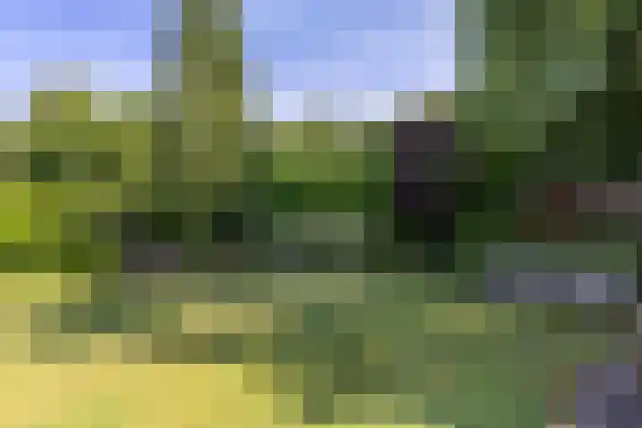 Jan Gossaertlaan 6 Bilthoven thumbnail 49