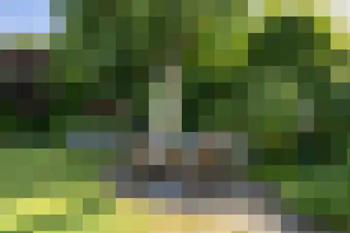 Jan Gossaertlaan 6 Bilthoven thumbnail 50