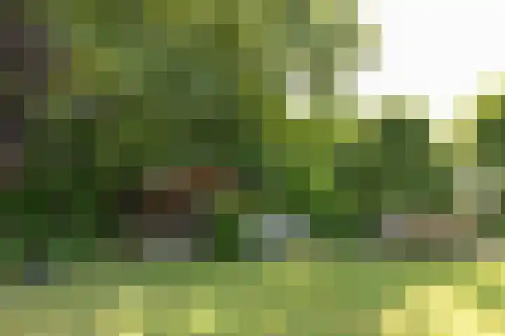 Jan Gossaertlaan 6 Bilthoven thumbnail 51