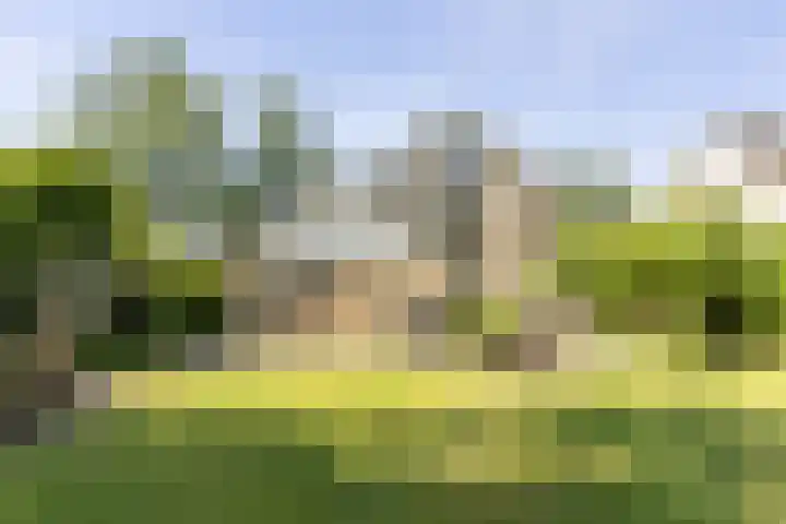 Jan Gossaertlaan 6 Bilthoven thumbnail 52