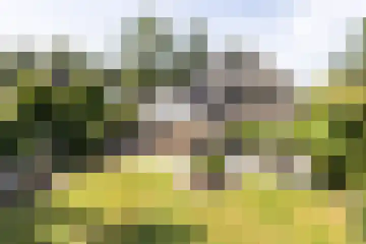 Jan Gossaertlaan 6 Bilthoven thumbnail 53