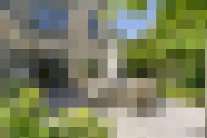 Jan Gossaertlaan 6 Bilthoven thumbnail 56