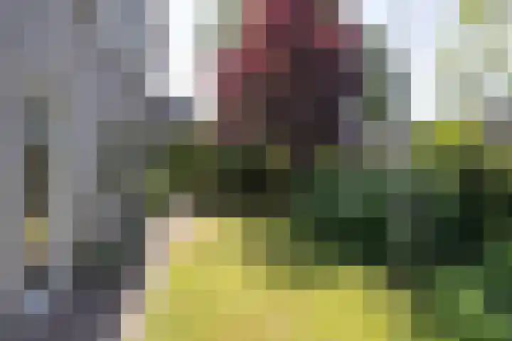 Jan Gossaertlaan 6 Bilthoven thumbnail 57