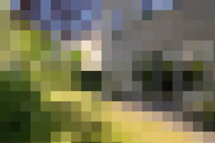 Jan Gossaertlaan 6 Bilthoven thumbnail 58