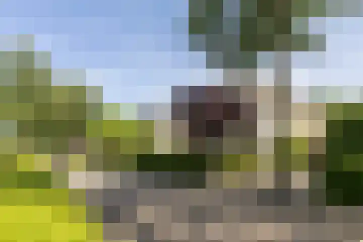 Jan Gossaertlaan 6 Bilthoven thumbnail 59