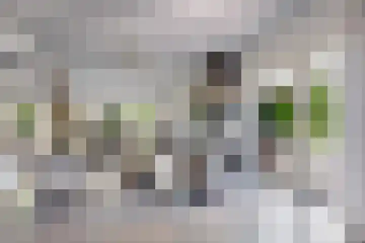 Jan Gosses Wijk 27 De Wilp thumbnail 10