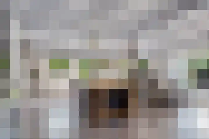 Jan Gosses Wijk 27 De Wilp thumbnail 11
