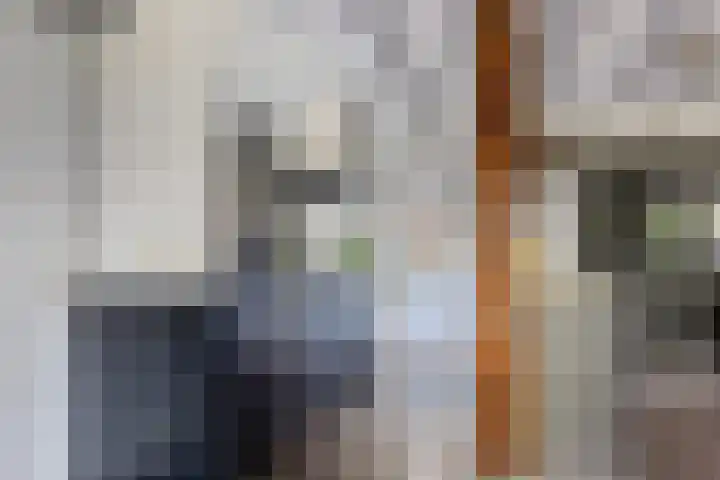 Jan Gosses Wijk 27 De Wilp thumbnail 12