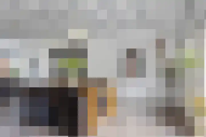 Jan Gosses Wijk 27 De Wilp thumbnail 13