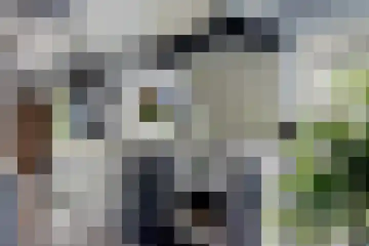 Jan Gosses Wijk 27 De Wilp thumbnail 14
