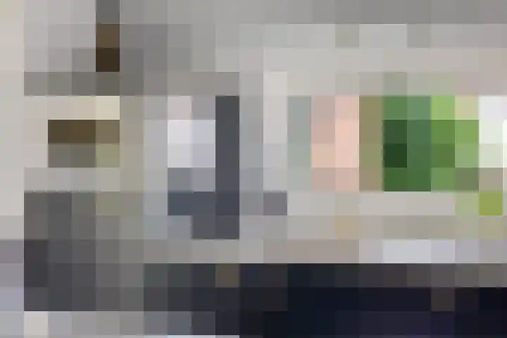 Jan Gosses Wijk 27 De Wilp thumbnail 15