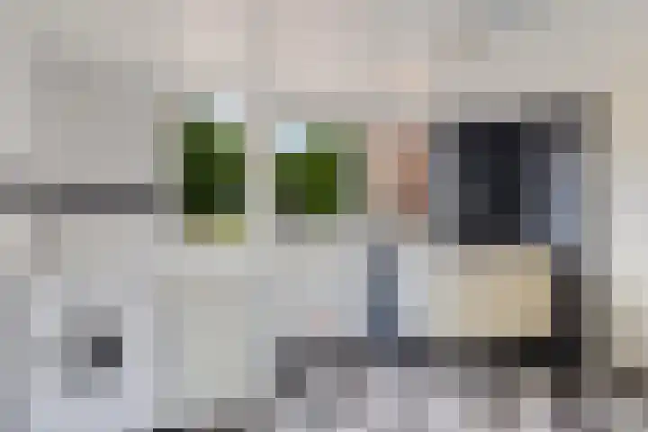 Jan Gosses Wijk 27 De Wilp thumbnail 24