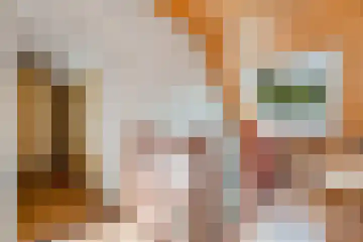 Jan Gosses Wijk 27 De Wilp thumbnail 28