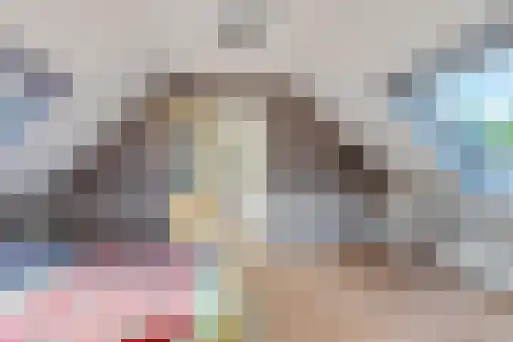 Jan Gosses Wijk 27 De Wilp thumbnail 29
