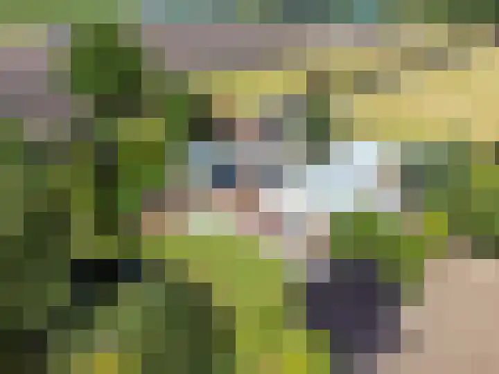 Jan Gosses Wijk 27 De Wilp thumbnail 34