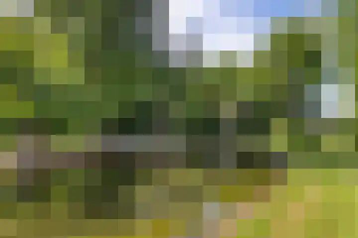 Jan Gosses Wijk 27 De Wilp thumbnail 36