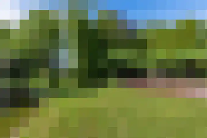 Jan Gosses Wijk 27 De Wilp thumbnail 37