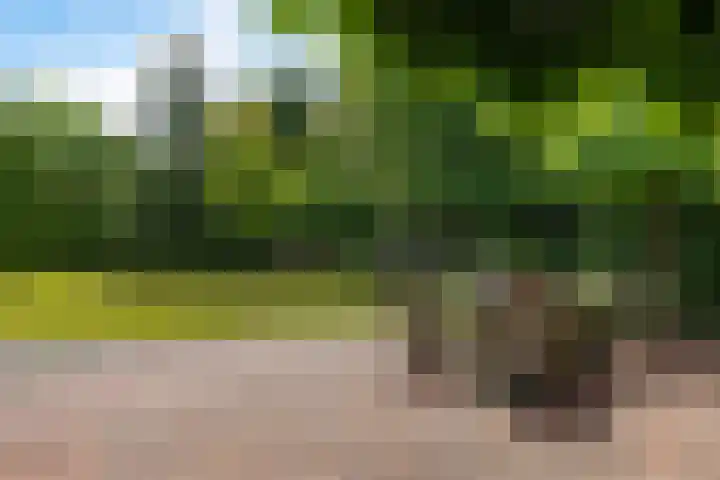 Jan Gosses Wijk 27 De Wilp thumbnail 39