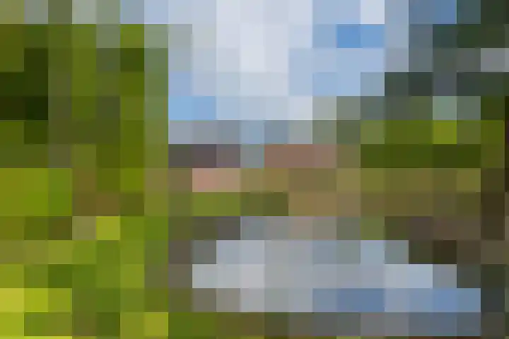 Jan Gosses Wijk 27 De Wilp thumbnail 4