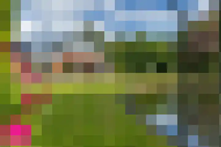 Jan Gosses Wijk 27 De Wilp thumbnail 41