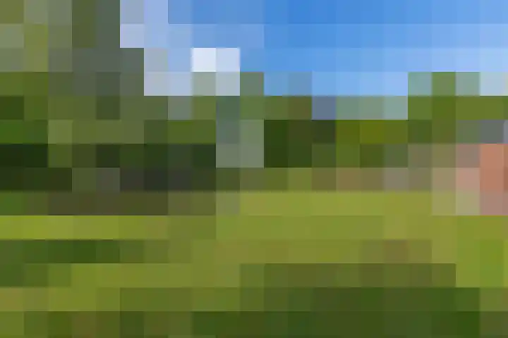 Jan Gosses Wijk 27 De Wilp thumbnail 42