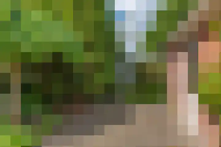 Jan Gosses Wijk 27 De Wilp thumbnail 43
