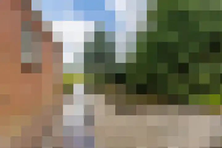Jan Gosses Wijk 27 De Wilp thumbnail 44